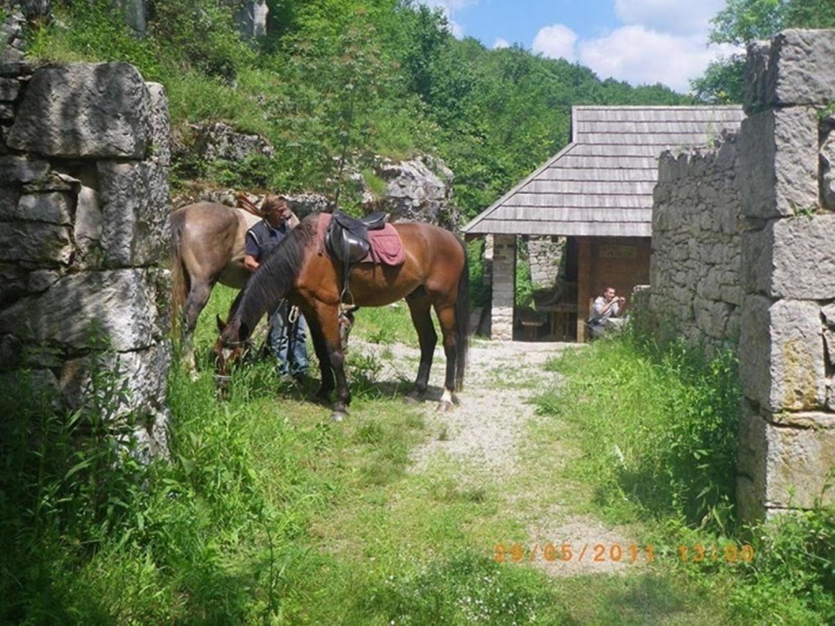 Dvori Stipanovi With Heated Pool And Jacuzzi Villa Donje Rascane Exterior photo